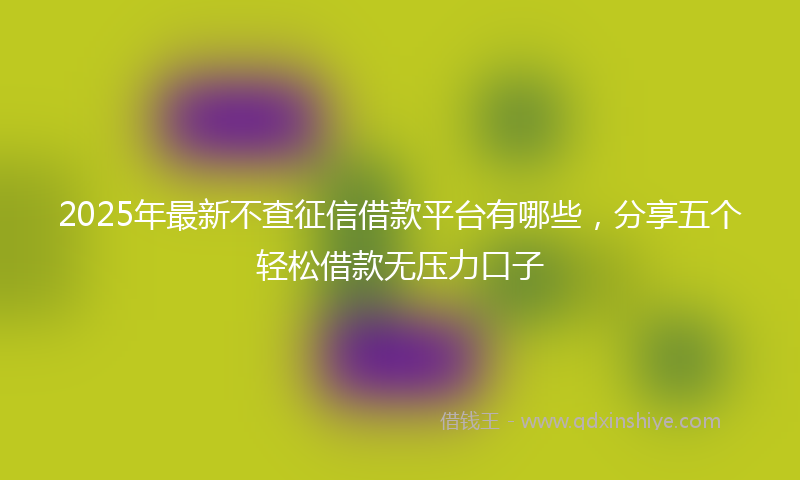 2025年最新不查征信借款平台有哪些，分享五个轻松借款无压力口子