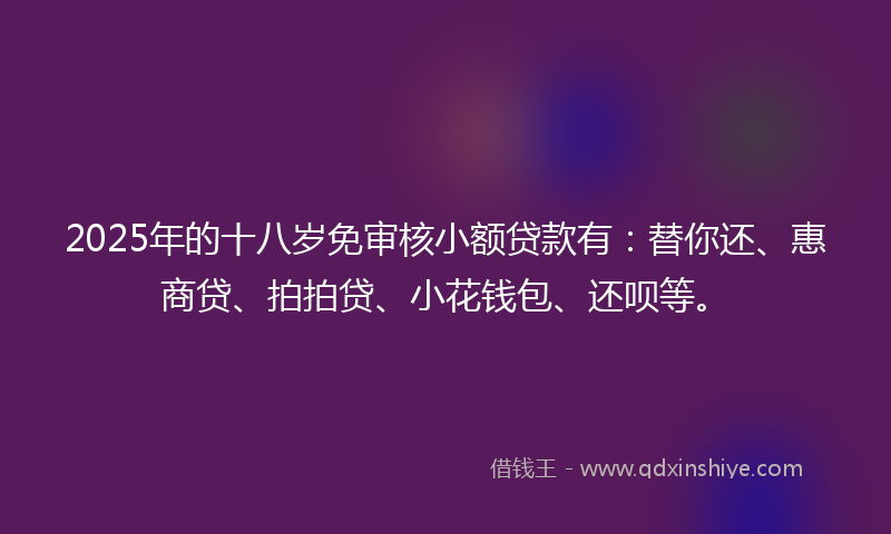 2025年的十八岁免审核小额贷款有：替你还、惠商贷、拍拍贷、小花钱包、还呗等。