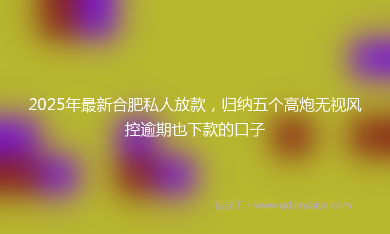2025年最新合肥私人放款，归纳五个高炮无视风控逾期也下款的口子