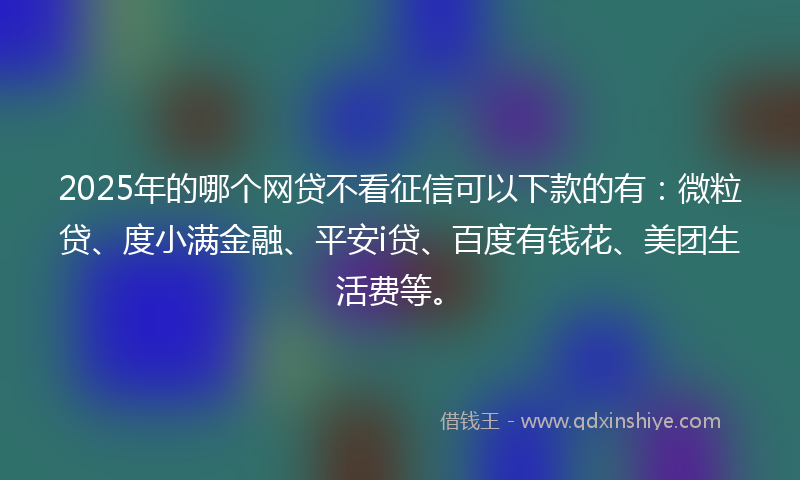 2025年的哪个网贷不看征信可以下款的有：微粒贷、度小满金融、平安i贷、百度有钱花、美团生活费等。