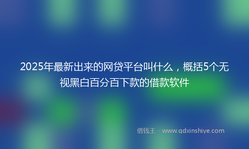 2025年最新出来的网贷平台叫什么，概括5个无视黑白百分百下款的借款软件