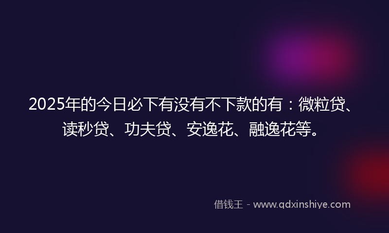 2025年的今日必下有没有不下款的有：微粒贷、读秒贷、功夫贷、安逸花、融逸花等。