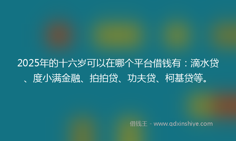 2025年的十六岁可以在哪个平台借钱有：滴水贷、度小满金融、拍拍贷、功夫贷、柯基贷等。