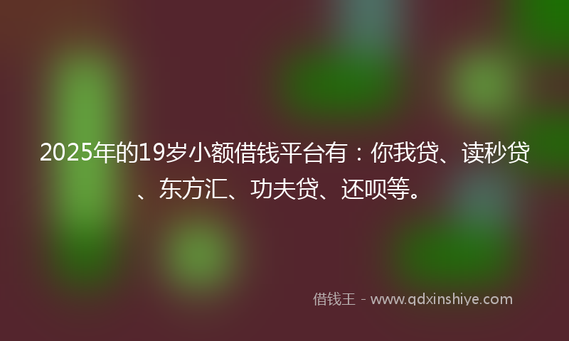 2025年的19岁小额借钱平台有：你我贷、读秒贷、东方汇、功夫贷、还呗等。