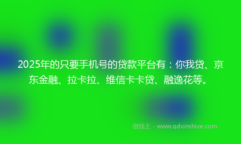 2025年的只要手机号的贷款平台有：你我贷、京东金融、拉卡拉、维信卡卡贷、融逸花等。