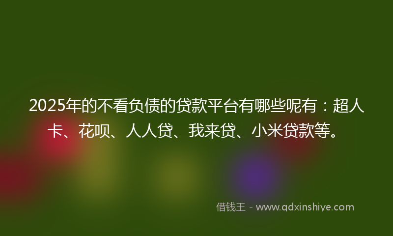 2025年的不看负债的贷款平台有哪些呢有：超人卡、花呗、人人贷、我来贷、小米贷款等。