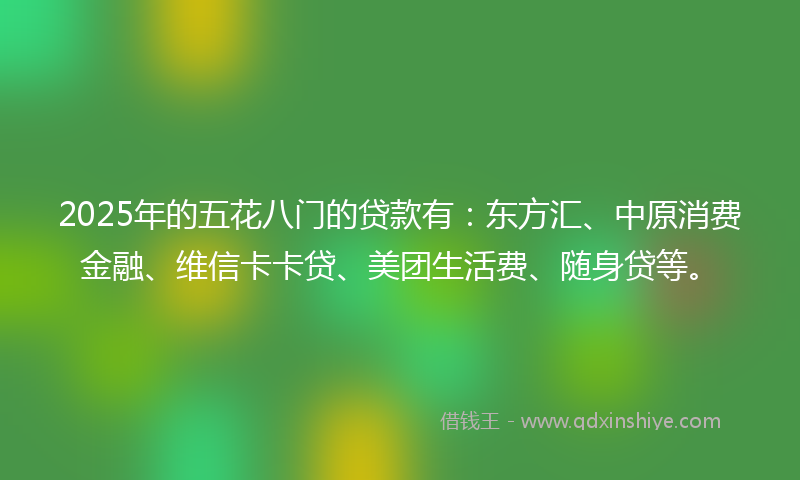 2025年的五花八门的贷款有：东方汇、中原消费金融、维信卡卡贷、美团生活费、随身贷等。