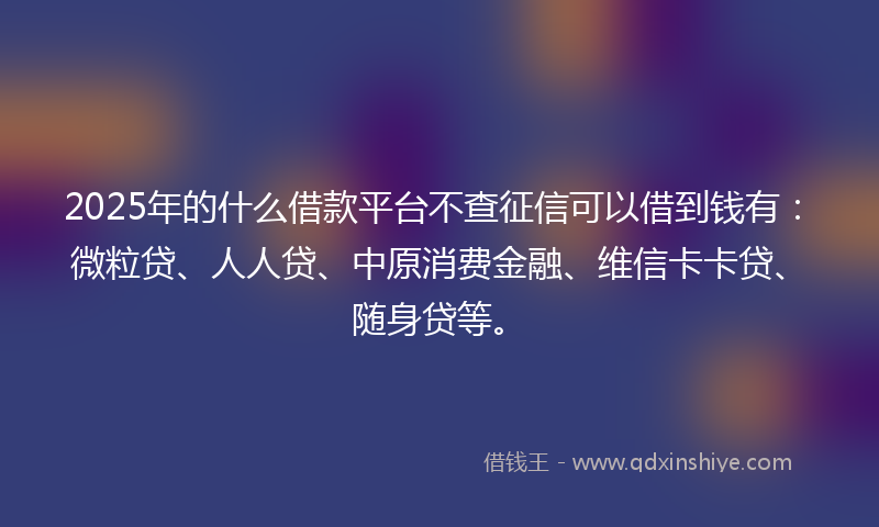 2025年的什么借款平台不查征信可以借到钱有：微粒贷、人人贷、中原消费金融、维信卡卡贷、随身贷等。
