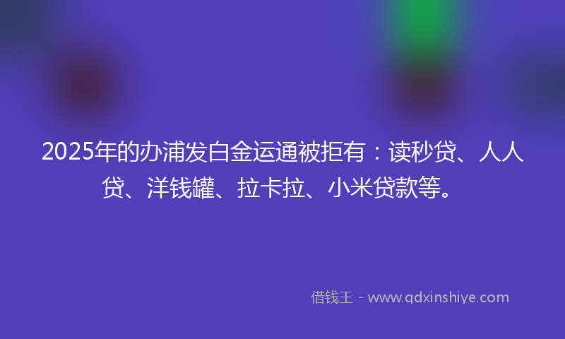 2025年的办浦发白金运通被拒有：读秒贷、人人贷、洋钱罐、拉卡拉、小米贷款等。