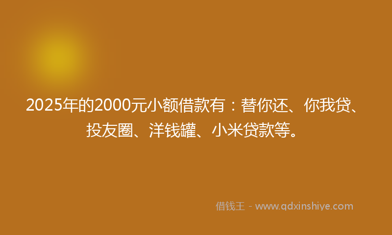 2025年的2000元小额借款有：替你还、你我贷、投友圈、洋钱罐、小米贷款等。