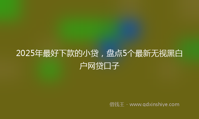 2025年最好下款的小贷，盘点5个最新无视黑白户网贷口子