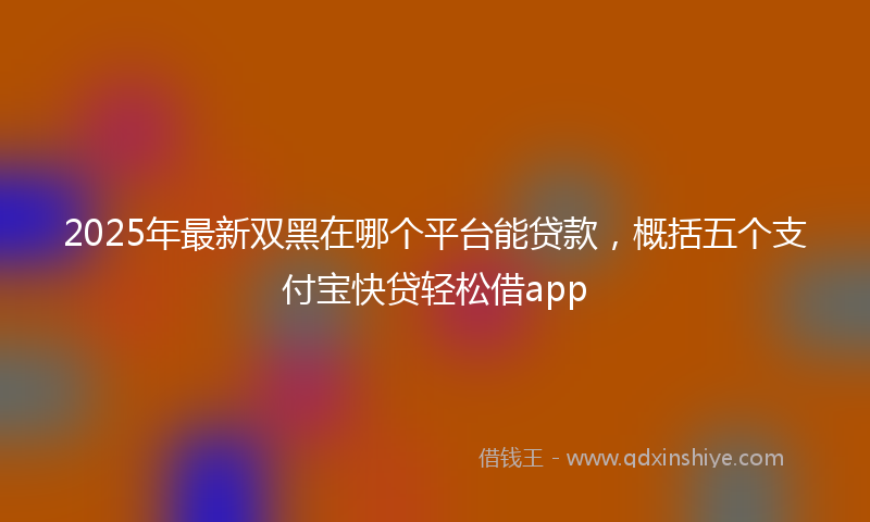 2025年最新双黑在哪个平台能贷款，概括五个支付宝快贷轻松借app