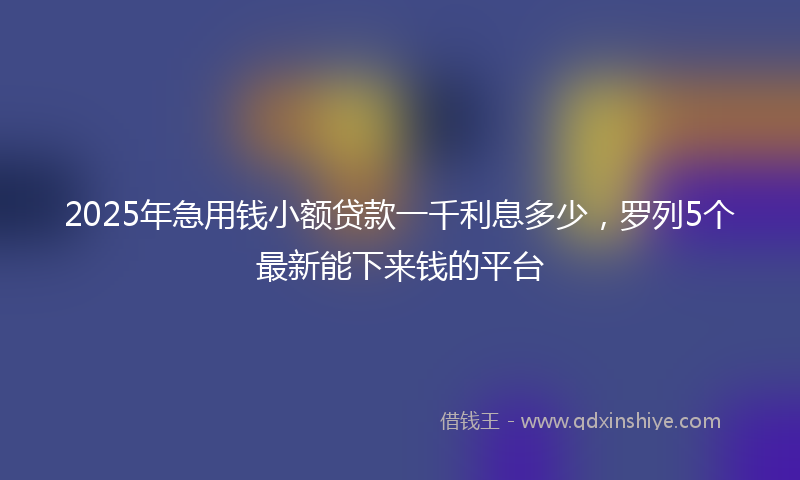 2025年急用钱小额贷款一千利息多少，罗列5个最新能下来钱的平台
