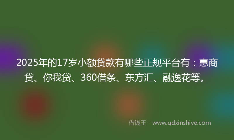 2025年的17岁小额贷款有哪些正规平台有：惠商贷、你我贷、360借条、东方汇、融逸花等。