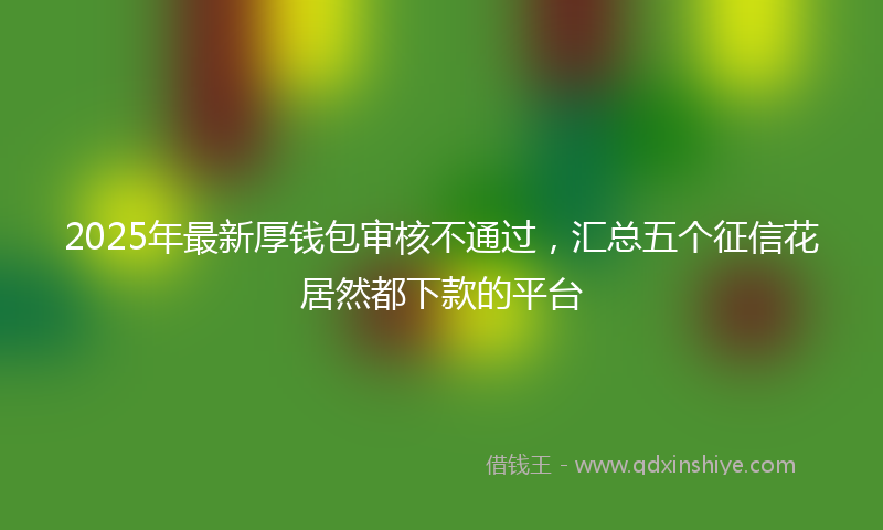 2025年最新厚钱包审核不通过，汇总五个征信花居然都下款的平台