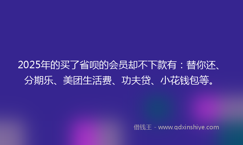 2025年的买了省呗的会员却不下款有：替你还、分期乐、美团生活费、功夫贷、小花钱包等。