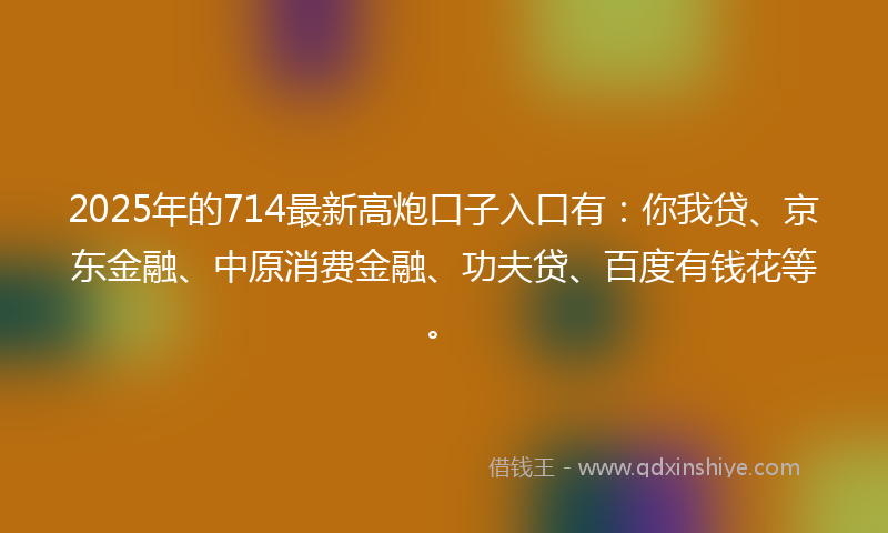 2025年的714最新高炮口子入口有：你我贷、京东金融、中原消费金融、功夫贷、百度有钱花等。