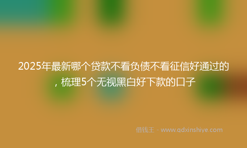 2025年最新哪个贷款不看负债不看征信好通过的，梳理5个无视黑白好下款的口子