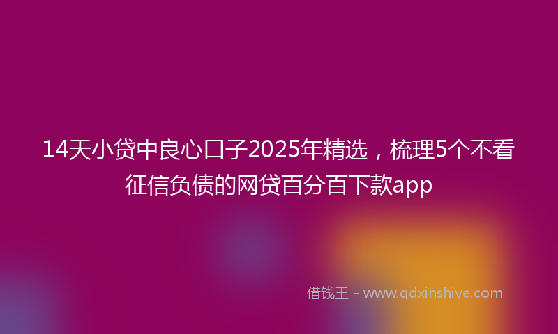14天小贷中良心口子2025年精选，梳理5个不看征信负债的网贷百分百下款app