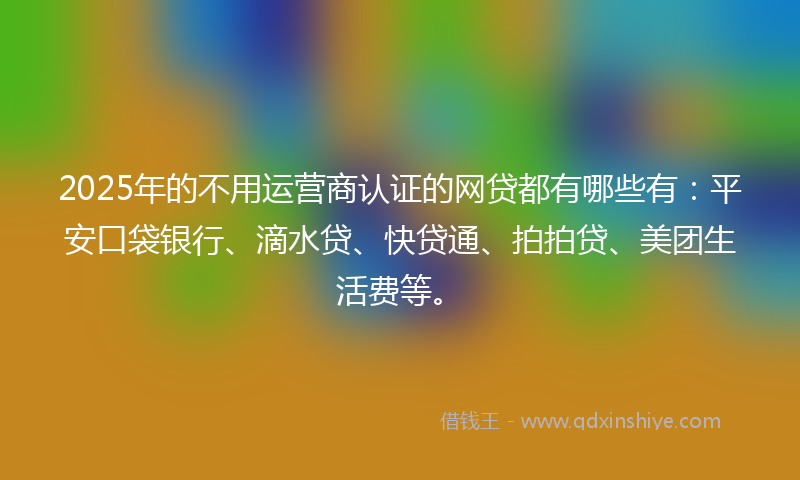 2025年的不用运营商认证的网贷都有哪些有：平安口袋银行、滴水贷、快贷通、拍拍贷、美团生活费等。