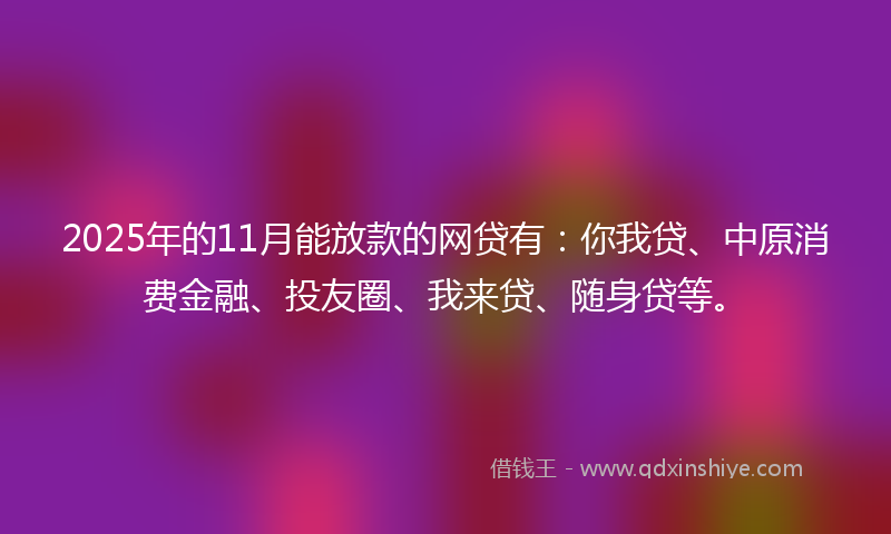 2025年的11月能放款的网贷有：你我贷、中原消费金融、投友圈、我来贷、随身贷等。
