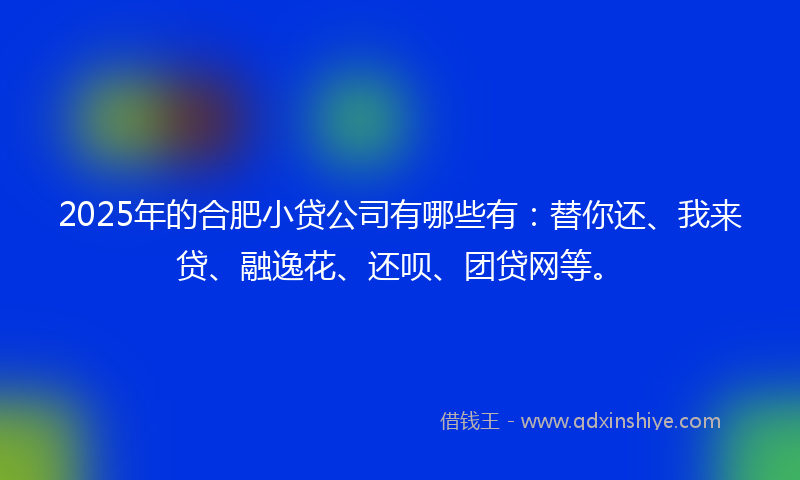 2025年的合肥小贷公司有哪些有：替你还、我来贷、融逸花、还呗、团贷网等。