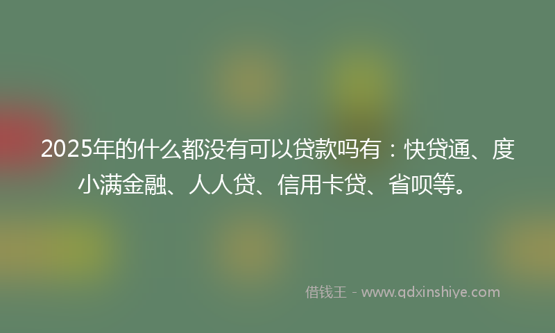 2025年的什么都没有可以贷款吗有：快贷通、度小满金融、人人贷、信用卡贷、省呗等。