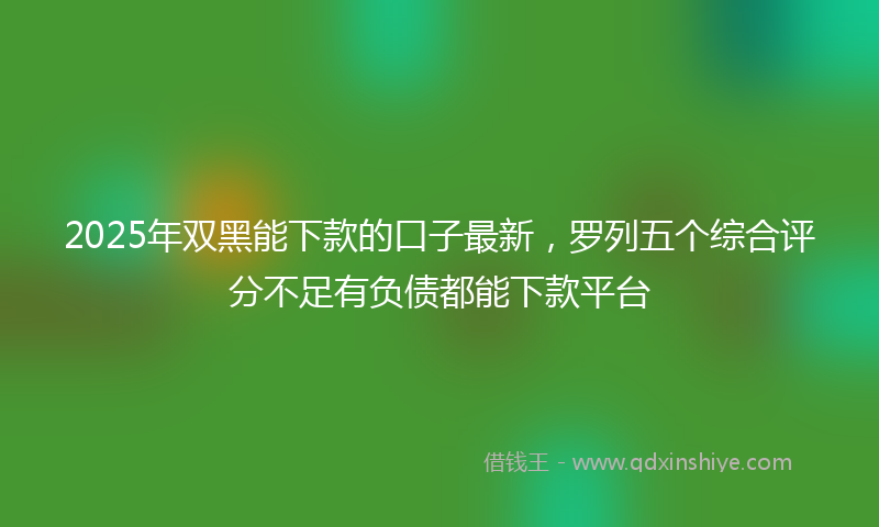 2025年双黑能下款的口子最新，罗列五个综合评分不足有负债都能下款平台