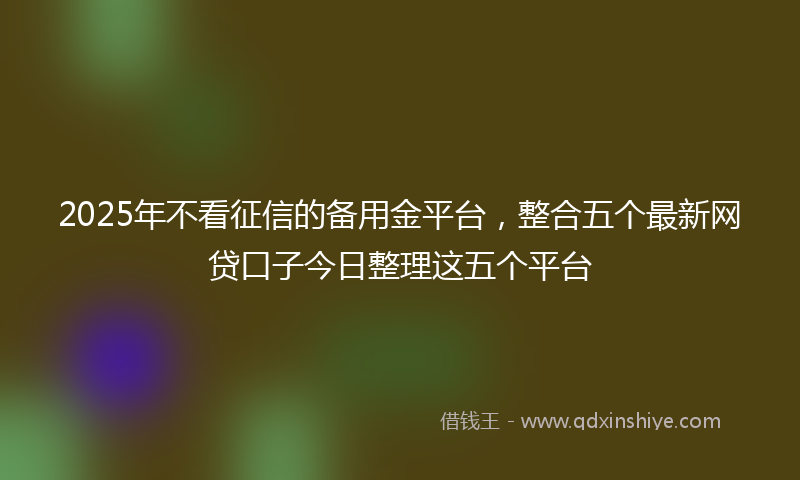 2025年不看征信的备用金平台，整合五个最新网贷口子今日整理这五个平台