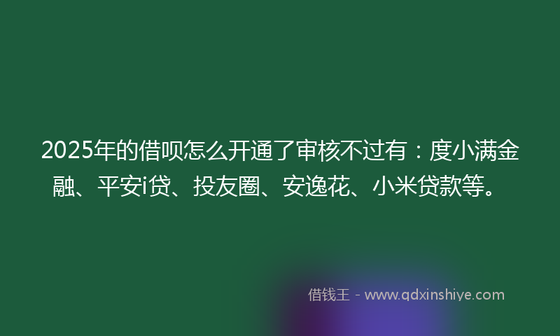 2025年的借呗怎么开通了审核不过有：度小满金融、平安i贷、投友圈、安逸花、小米贷款等。