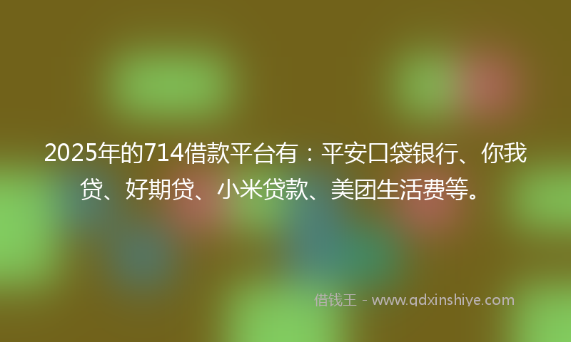2025年的714借款平台有：平安口袋银行、你我贷、好期贷、小米贷款、美团生活费等。
