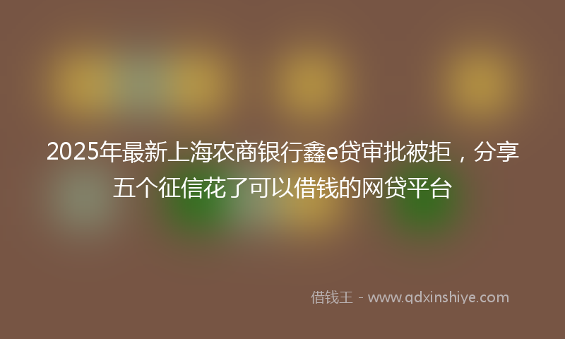 2025年最新上海农商银行鑫e贷审批被拒，分享五个征信花了可以借钱的网贷平台