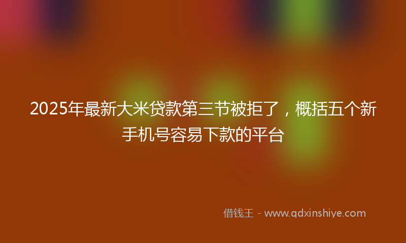 2025年最新大米贷款第三节被拒了，概括五个新手机号容易下款的平台