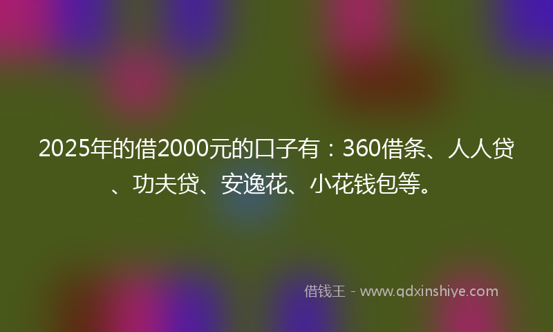 2025年的借2000元的口子有：360借条、人人贷、功夫贷、安逸花、小花钱包等。