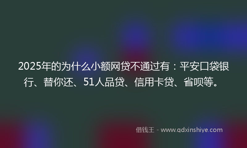 2025年的为什么小额网贷不通过有：平安口袋银行、替你还、51人品贷、信用卡贷、省呗等。