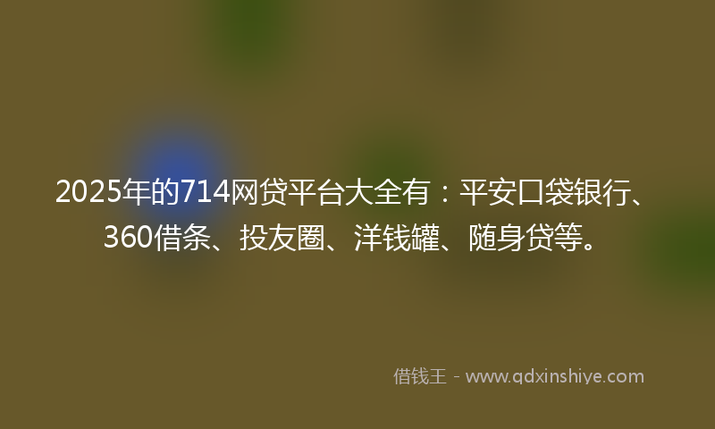 2025年的714网贷平台大全有：平安口袋银行、360借条、投友圈、洋钱罐、随身贷等。