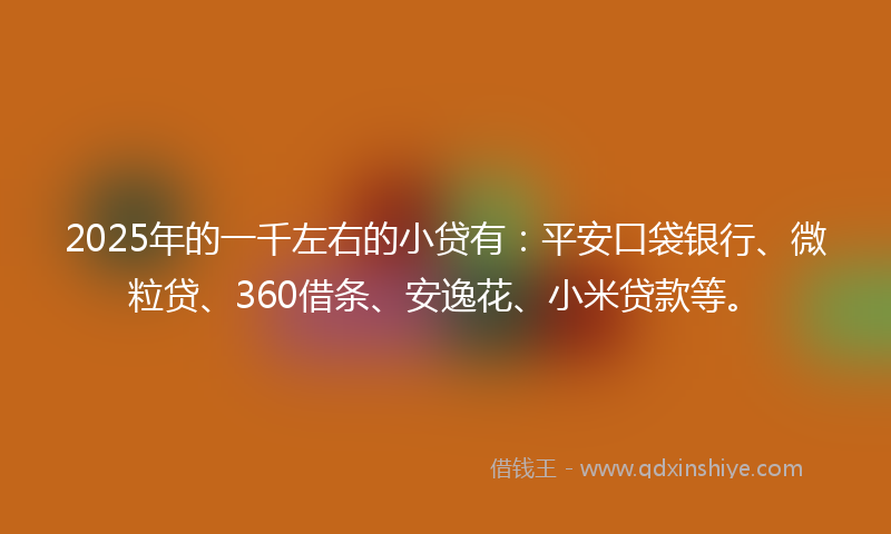 2025年的一千左右的小贷有：平安口袋银行、微粒贷、360借条、安逸花、小米贷款等。