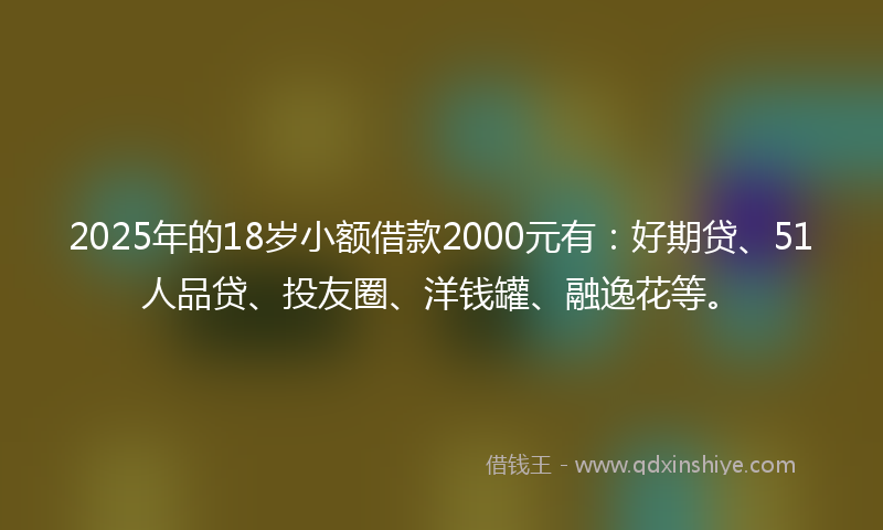 2025年的18岁小额借款2000元有：好期贷、51人品贷、投友圈、洋钱罐、融逸花等。