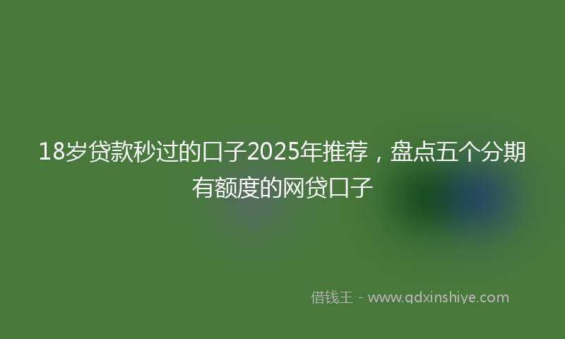 18岁贷款秒过的口子2025年推荐，盘点五个分期有额度的网贷口子