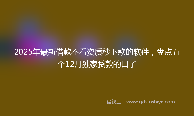 2025年最新借款不看资质秒下款的软件，盘点五个12月独家贷款的口子