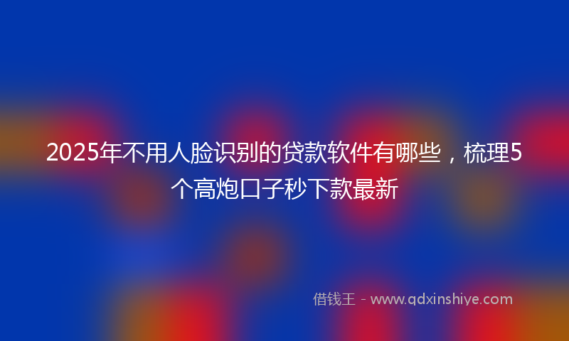 2025年不用人脸识别的贷款软件有哪些，梳理5个高炮口子秒下款最新