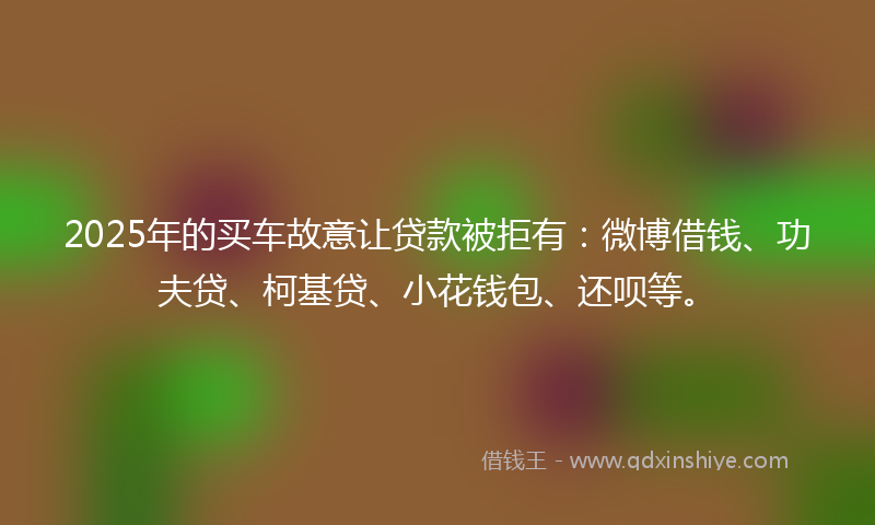 2025年的买车故意让贷款被拒有：微博借钱、功夫贷、柯基贷、小花钱包、还呗等。