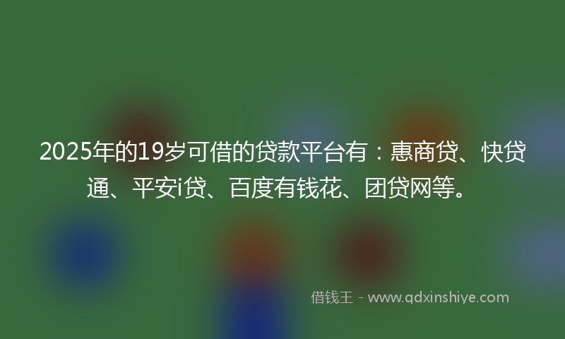 2025年的19岁可借的贷款平台有：惠商贷、快贷通、平安i贷、百度有钱花、团贷网等。