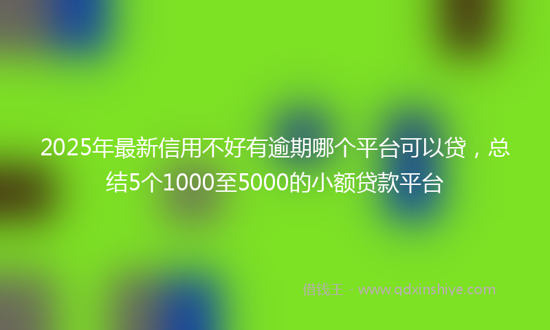 2025年最新信用不好有逾期哪个平台可以贷，总结5个1000至5000的小额贷款平台