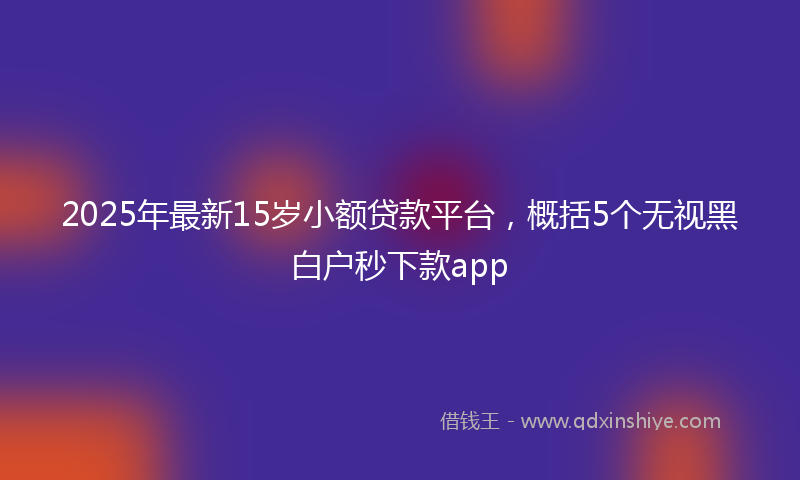 2025年最新15岁小额贷款平台，概括5个无视黑白户秒下款app