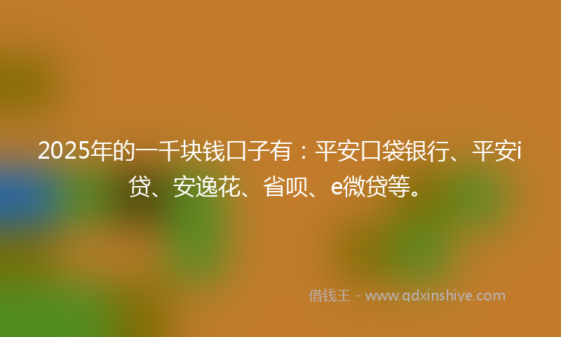 2025年的一千块钱口子有：平安口袋银行、平安i贷、安逸花、省呗、e微贷等。