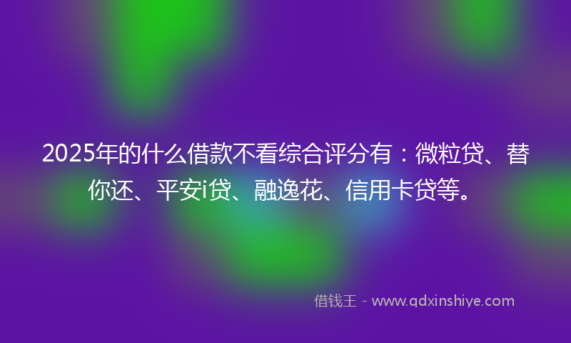 2025年的什么借款不看综合评分有：微粒贷、替你还、平安i贷、融逸花、信用卡贷等。