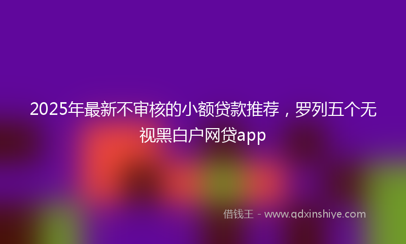 2025年最新不审核的小额贷款推荐，罗列五个无视黑白户网贷app
