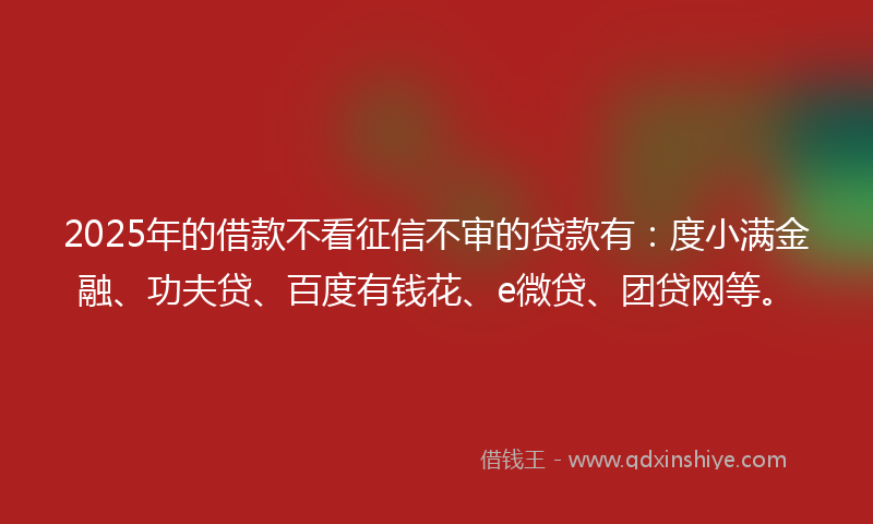 2025年的借款不看征信不审的贷款有：度小满金融、功夫贷、百度有钱花、e微贷、团贷网等。