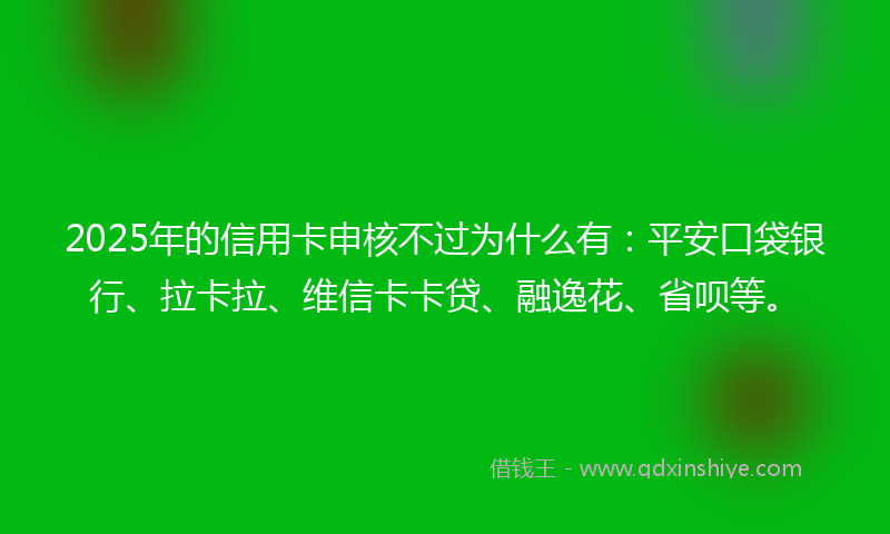 2025年的信用卡申核不过为什么有：平安口袋银行、拉卡拉、维信卡卡贷、融逸花、省呗等。
